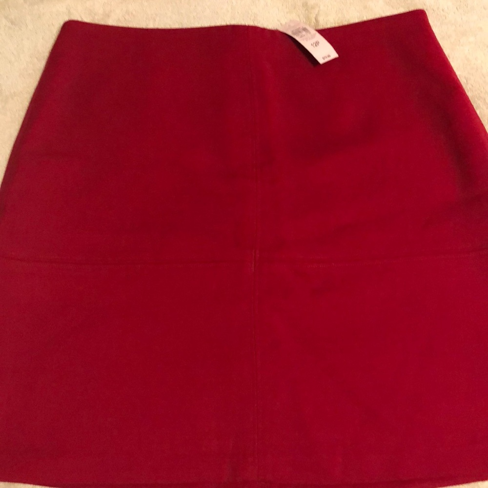 Ann Taylor skirt
